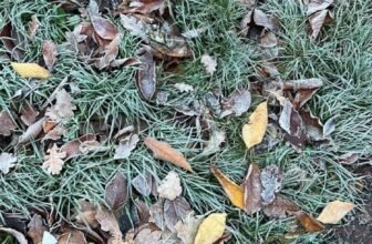 Tips on how to Beat the Winter Blues… — Estée Lalonde