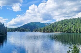 The Little Issues Publication #422 – Life, laughter, and many nice meals!