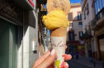 Sevilla Meals Suggestions – The Fitnessista