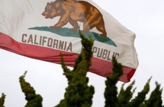 New California legislation will pressure corporations to confess you do not personal digital content material