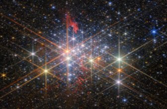 This dazzling NASA picture exhibits the most important tremendous star cluster in our galaxy