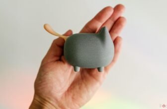 Gingo Kitty Speaker assessment: Model over substance